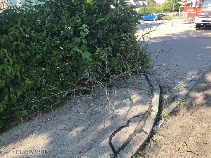 Sturmschäden Sturmschäden